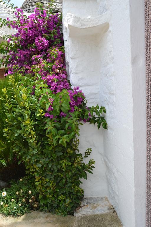 Vila Trulli Aia Piccola Alberobello Exteriér fotografie